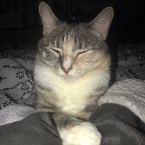 Meet your Posher, Layaly